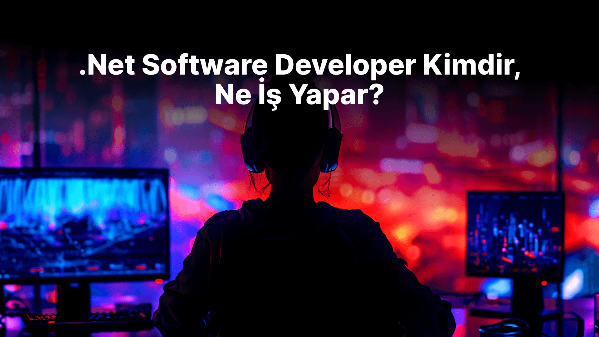 .Net Software Developer Kimdir, Ne İş Yapar?